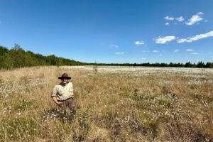 Superfood und Pflanzenreste: Durchs Bourtanger Moor