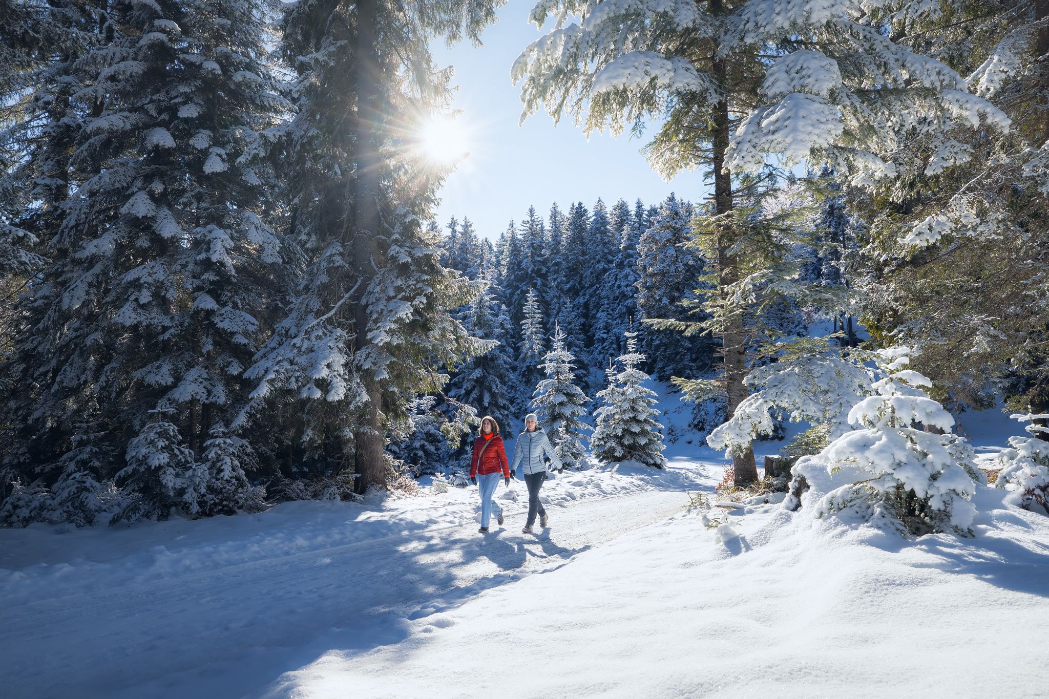 Alpenkulisse ohne Hightech: Trend Winterwandern
