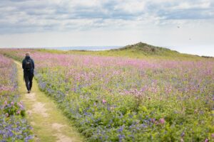 Wales‘ wilder Wanderweg: Mehr Küste geht nicht